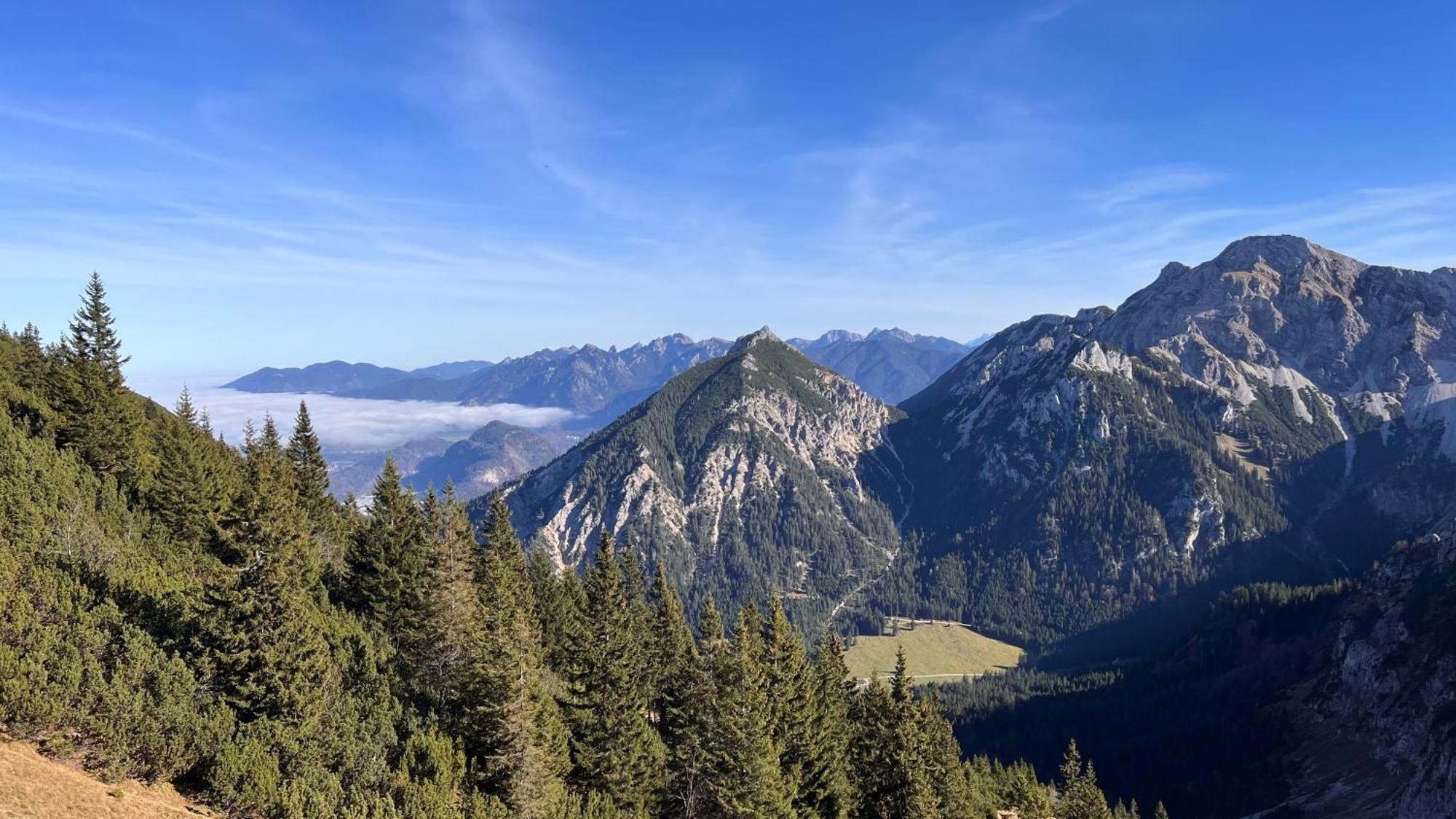 Angerwies In - Tirol *